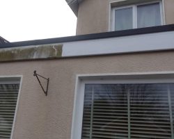 Roof Cleaning