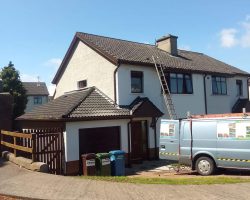 Roof Cleaning
