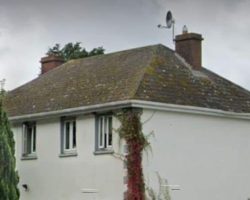Roof Cleaning
