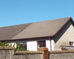 Roof Cleaning