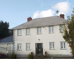 Roof Cleaning