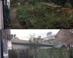 Gardening services