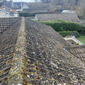 Roof Cleaning