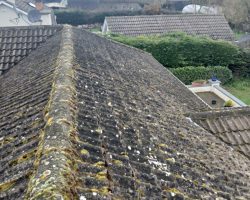 Roof Cleaning