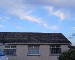 Roof Cleaning