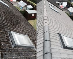 Roof Cleaning