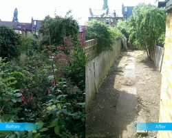 Garden Cleaning