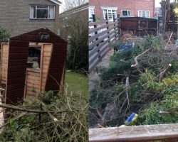 Garden Cleaning