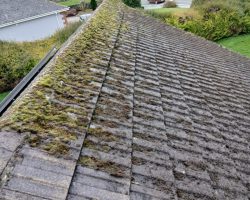 Roof Cleaning