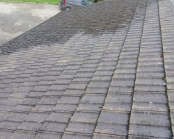 Roof Cleaning