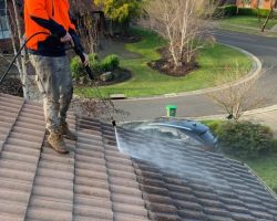 Roof Cleaning