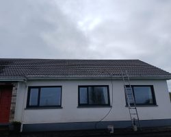 Roof Cleaning