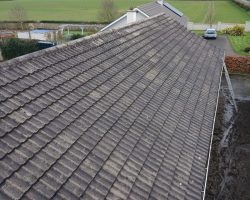 Roof Cleaning
