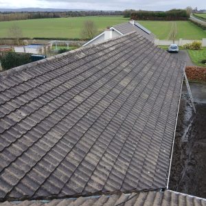 Roof Cleaning