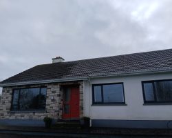 Roof Cleaning