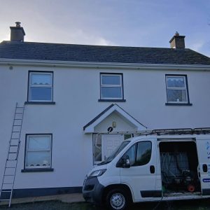Roof Cleaning