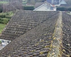 Roof Cleaning