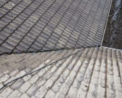 Roof Cleaning