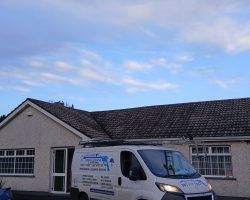 Roof Cleaning & Painting