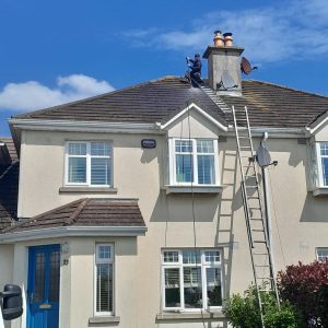 Exterior Cleaning