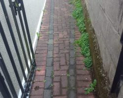 driveway-during