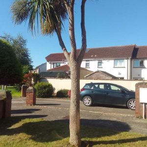Exterior Cleaning