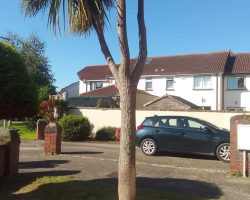Exterior Cleaning