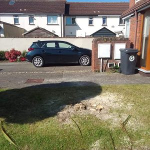 Exterior Cleaning