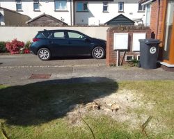 Exterior Cleaning