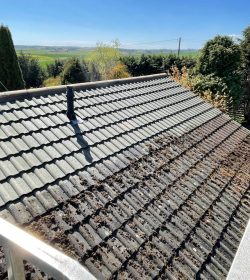 Roof Cleaning